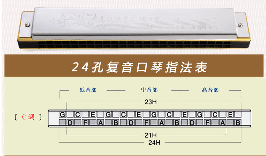 奇美牌24孔c调复音 重音 演奏初学成人儿童入门口琴