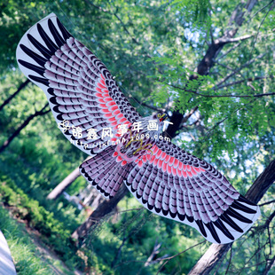 潍坊传统竹子骨架大老鹰风筝多色随机发可选配包装盒厂家低价直销