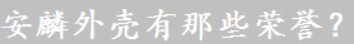 安麟的荣誉