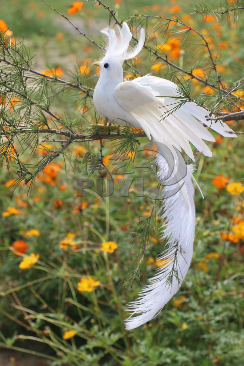 工厂直销白色婚庆道具家居摆件凤凰鸟长尾鸟羽毛鸟装饰工艺品摄影