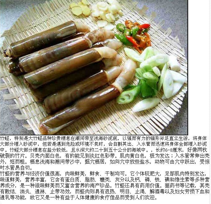 蛏子的营养价值 蛏子,学名缢蛏,属软体动物,系瓣鳃纲,真瓣鳃且,竹蛏科