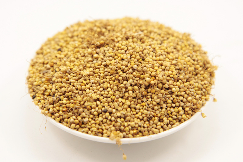 轩草供应中药材 谷芽 别名: 粟芽