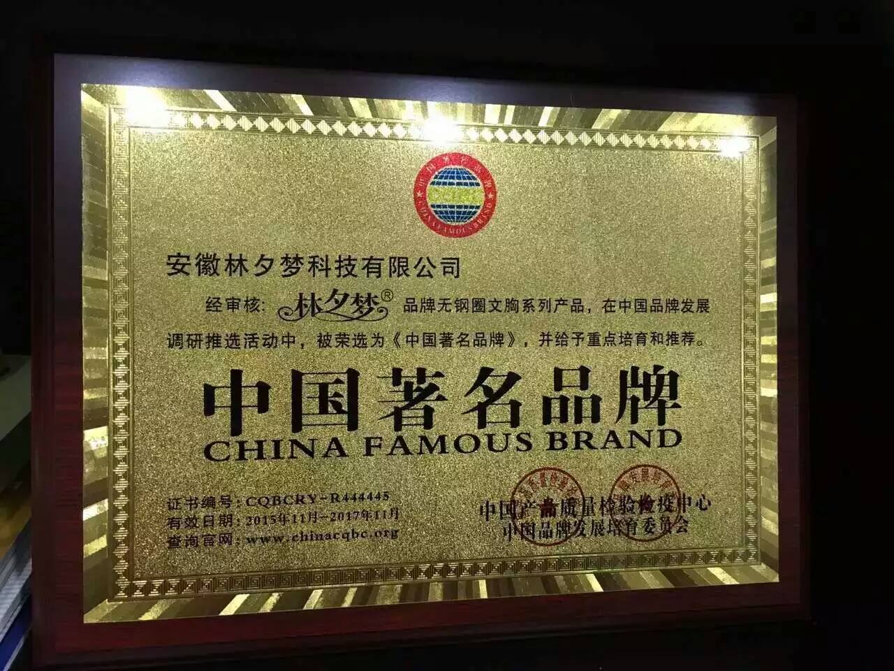 林夕梦内衣代理