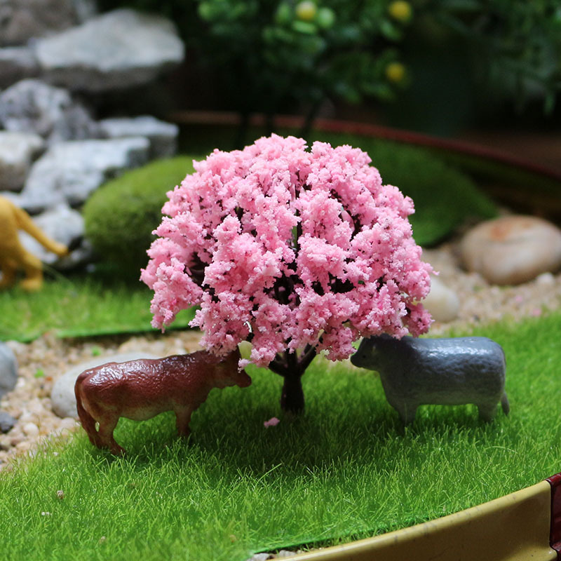 植物盆景_植物盆景供应商_植物盆景批发市场