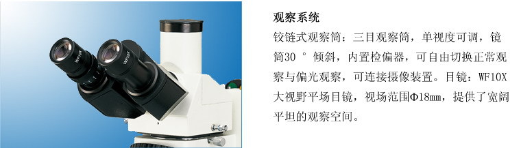 XJL—201A彩图1