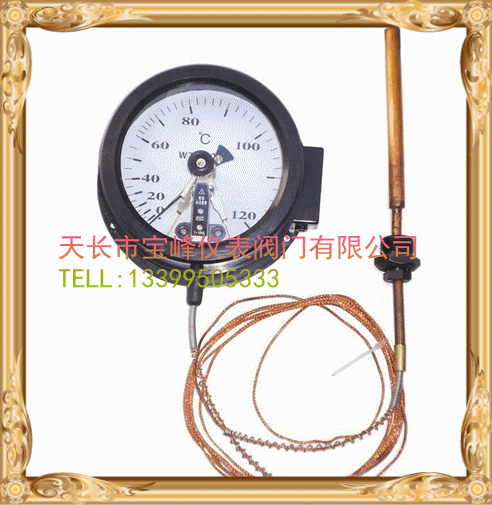 压力式双金属温度计wtq-280厂家直销