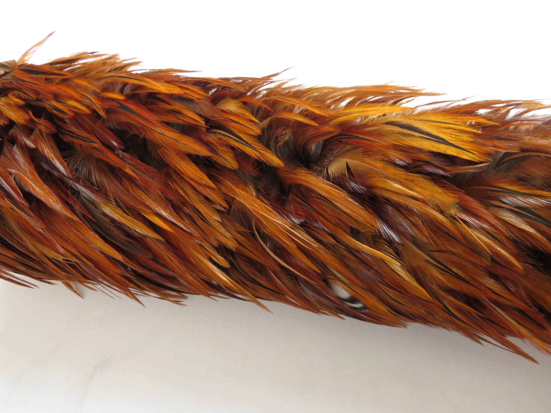 精品金翅jc101花柄尖毛鸡毛掸子 公鸡