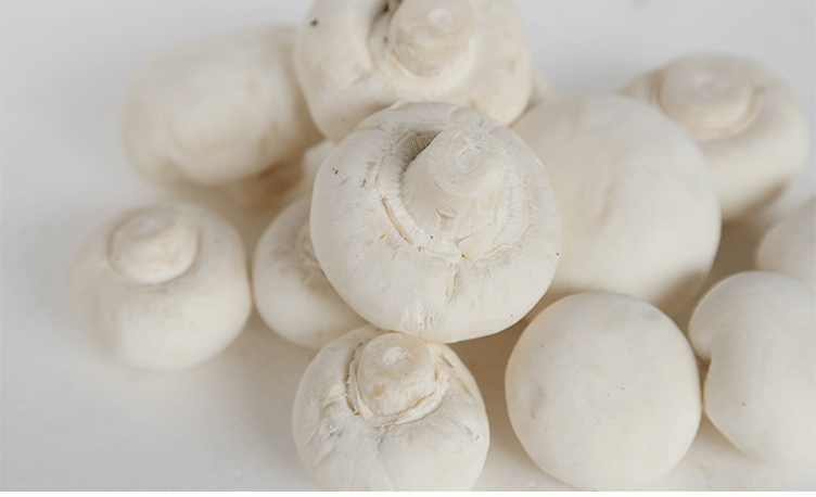 供应新鲜菌类双孢菇绿色蔬菜白色双孢菇新鲜蘑菇