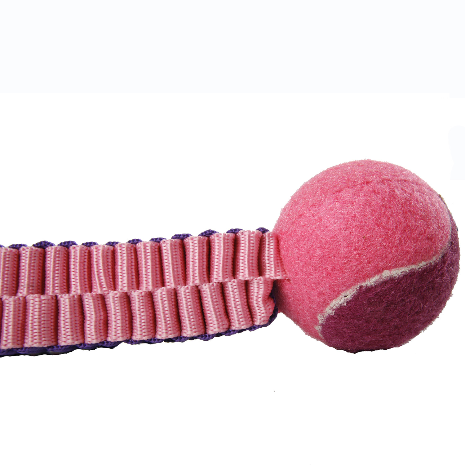 纯棉哑铃状宠物玩具 狗狗啃咬洁齿玩具 厂家直销 批发