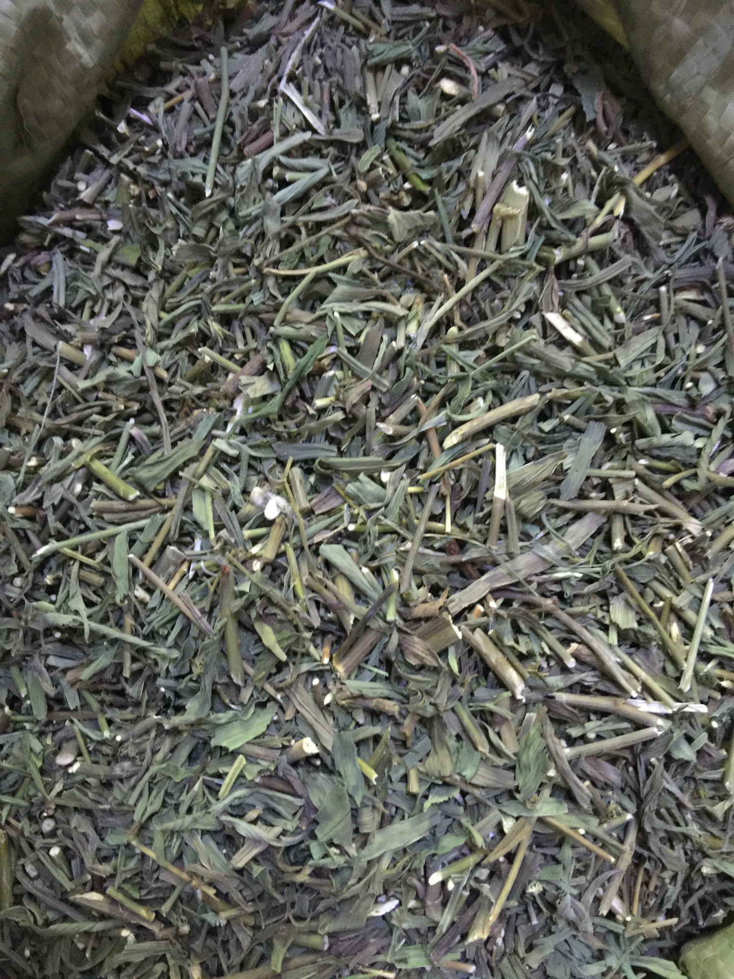 批发中药材优质无硫 柴胡苗 正品无杂