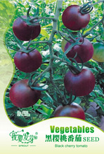 樱桃番茄价格_今日最新樱桃番茄价格行情走势