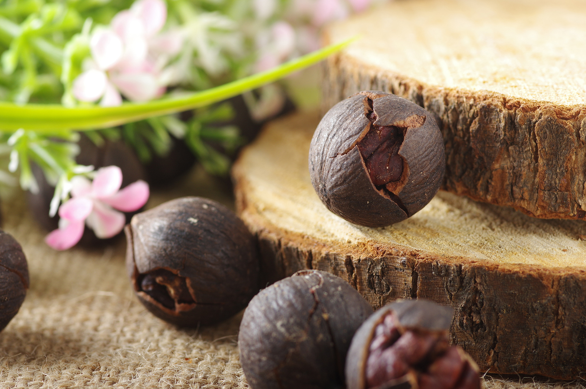 15年新货 临安特产手剥大籽山核桃水煮黑子小核桃