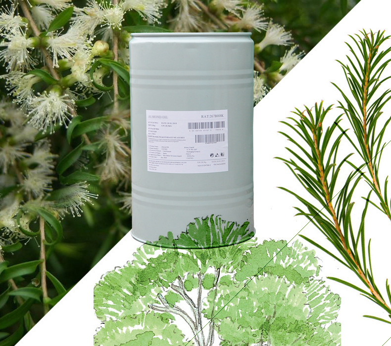 法国茶树精油 tea tree oil 消仲杀菌 祛痘 控油 芳疗级精油 香薰