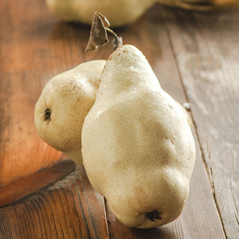 果园直供 香蕉梨新鲜软梨 贵妃梨大头梨 浓香松软