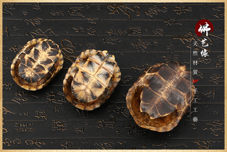 天然山龟壳标本 工艺品 挂件 家居摆件 厂家直销