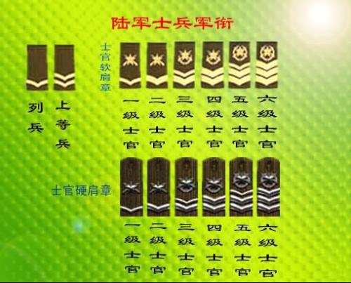 部队的极别肩牌