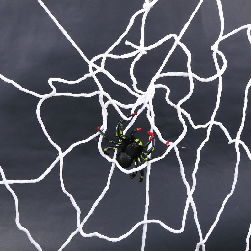 5米尼龙线带蜘蛛