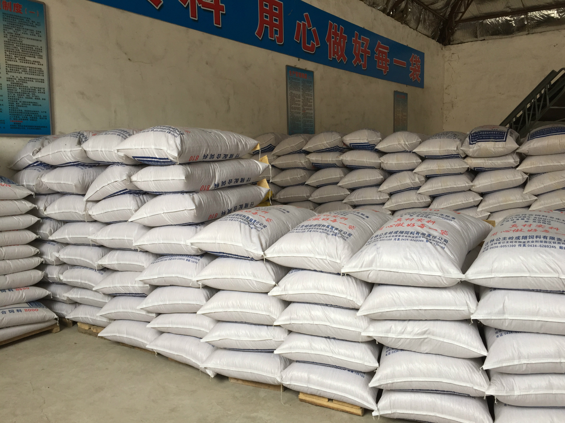 仔猪浓缩饲料 猪饲料 玉米饲料 厂家批发 零售 粉料