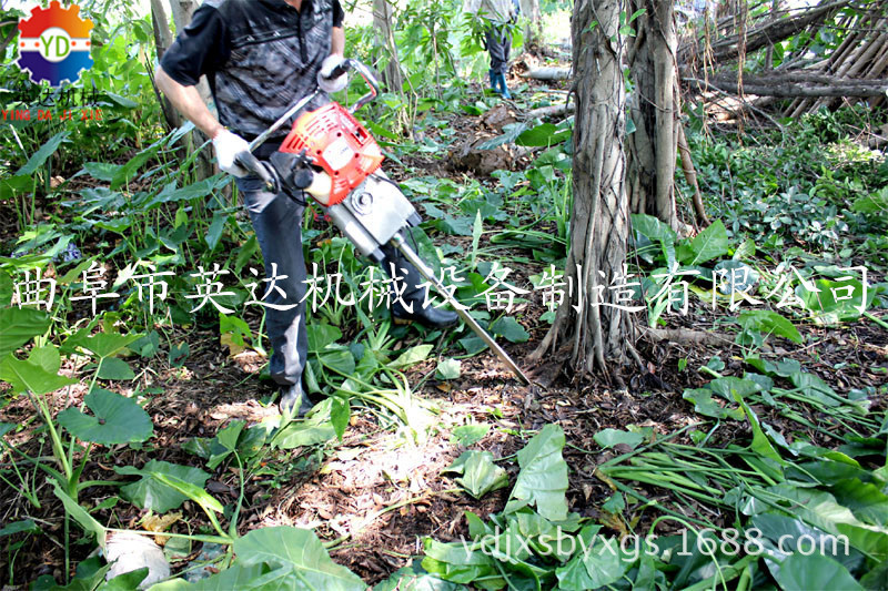 【英达】铲头挖树机价格_优质锯齿式挖树机批发/链条起球机图片