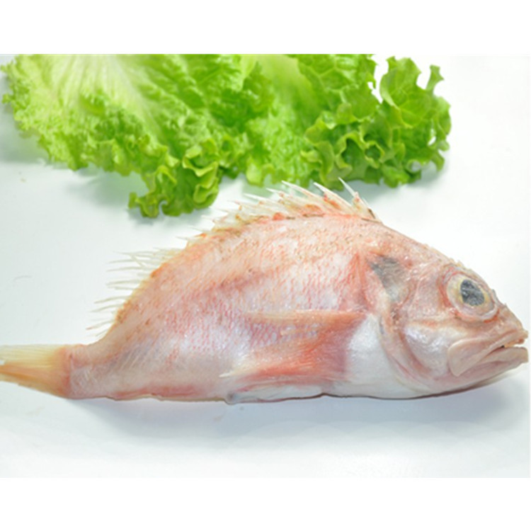南极红鲈鱼海鲈鱼新西兰特产深海捕捞婚庆寿宴喜庆菜品700/1000克