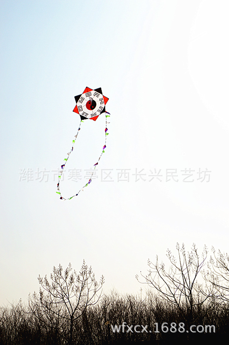 潍坊现代风筝厂家供货潍坊平面八卦风筝批发好飞易携带