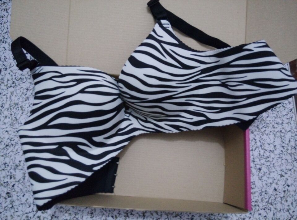 pe环保塑料袋 内衣文胸包装袋 透明袋 拉链内衣袋 带规格表33*22c