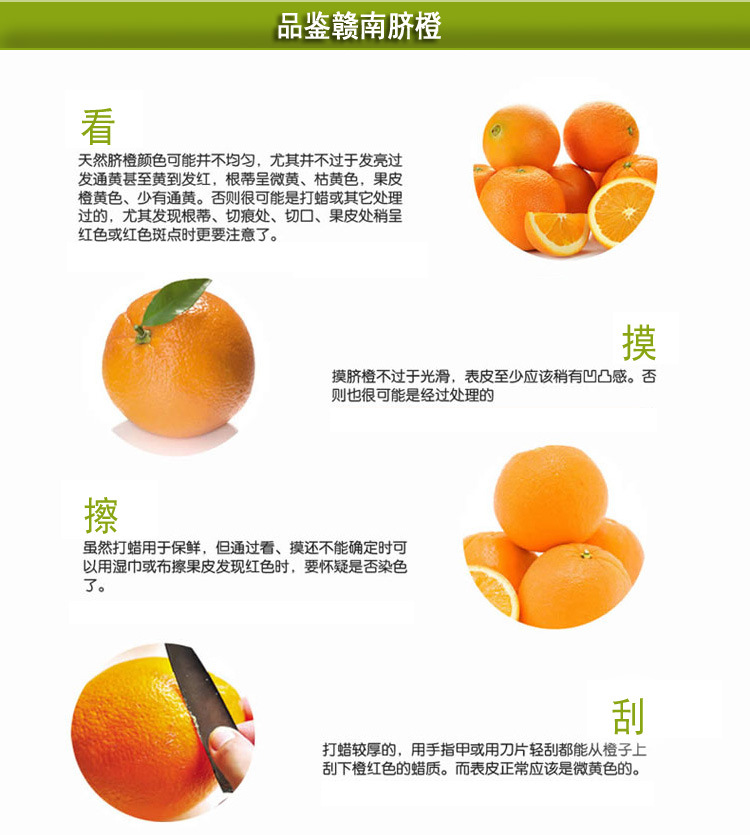 【预售】10斤装赣南脐橙 江西水果批发网橙子 精品橙水果一件代发