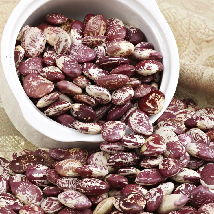 首页 蔬菜 茄果类 芸豆 >大和恒杂粮 斑马花豆花