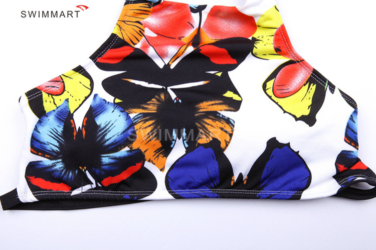 DM071蝴蝶-实物图1