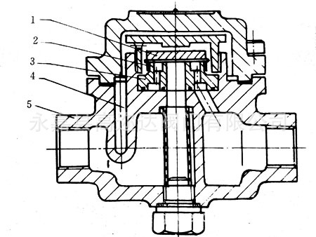 如图10-24所示,是带贮馏的圆盘式蒸汽汽疏水阀的结构图.