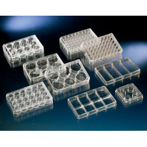 nunc6孔板聚苯乙烯ps细胞培养板128*86mm平底已灭菌140675-阿里巴巴