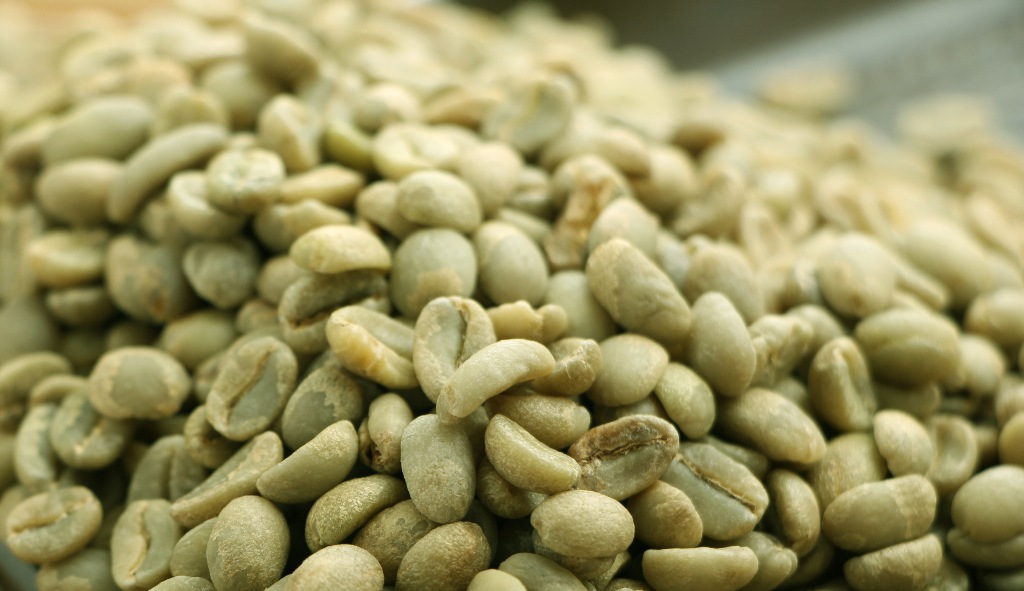 埃塞俄比亚耶加雪菲咖啡生豆耶加雪啡g2水洗豆柑橘花香水果香风味