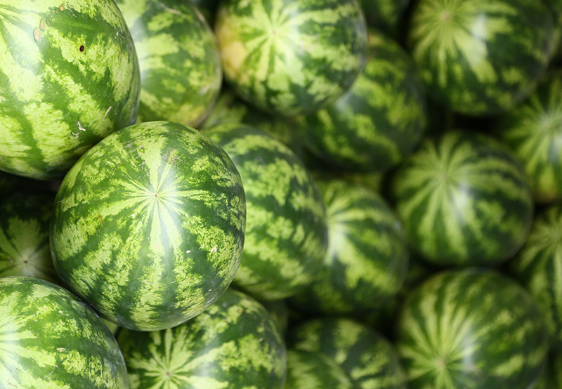 供应 本地西瓜 大西瓜新鲜水果无公害