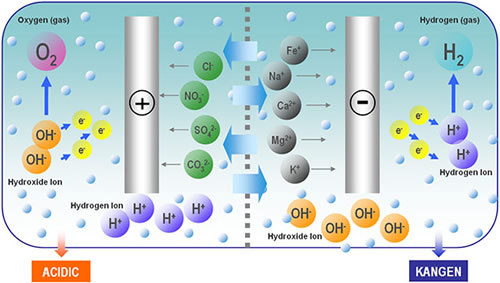 电解池阴阳相吸图片