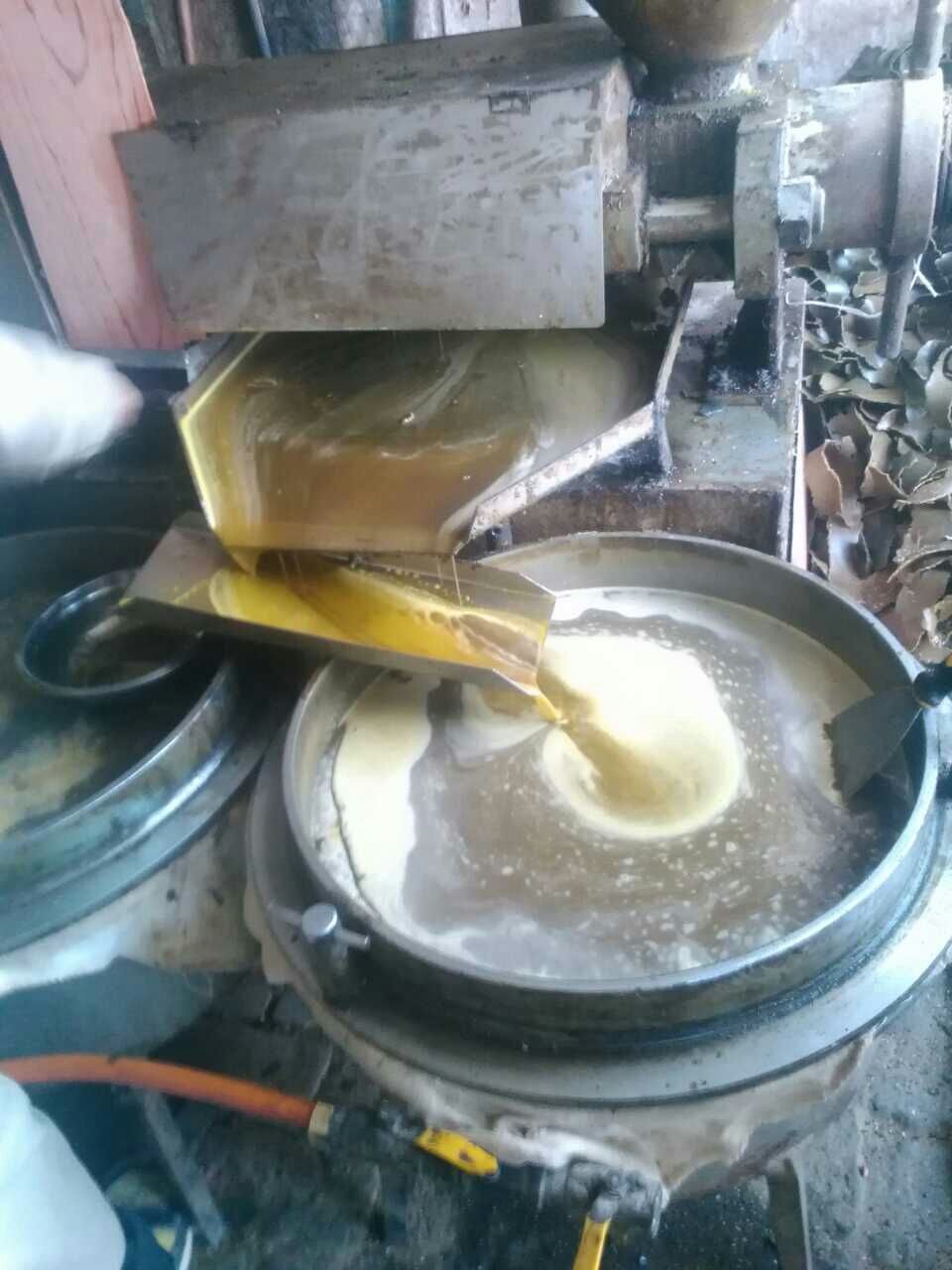 供应安徽2016年优质新油菜籽 江西贵州重庆四川浙江北京河.