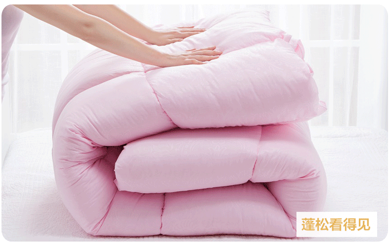 厂家直销 冬被化纤被子学生春秋被二合一子母被芯太空被 一件代发
