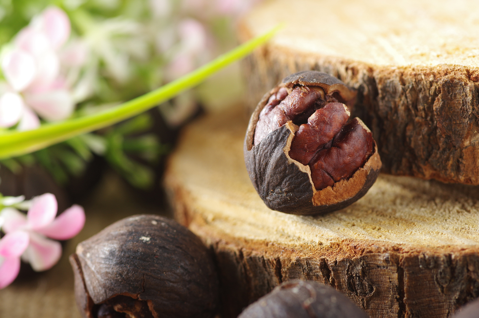 15年新货 临安特产手剥大籽山核桃水煮黑子小核桃