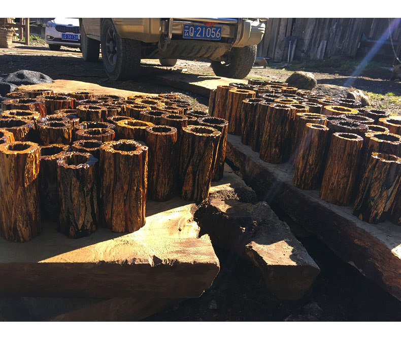 专业为木质笔筒 桫椤木笔筒办公室摆件创意办公用品