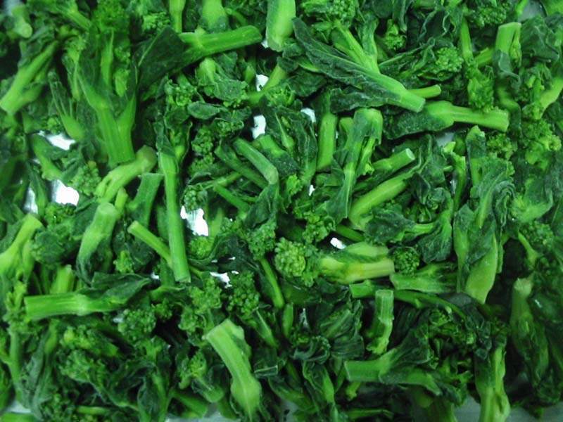 国家基地脱水万年青脱水油菜芯脱水小青菜rapeflower