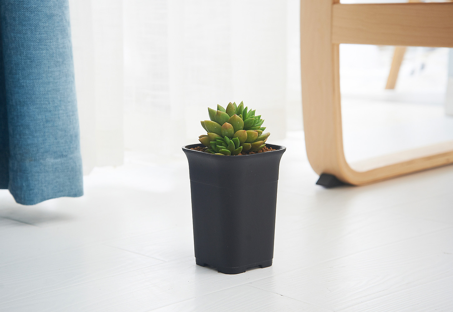 塑料花盆 方形万象盆 高腰盆 黑色磨砂 多肉盆小号