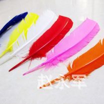 T1wgSeXqleXXXXXXXX_!!0-item_pi