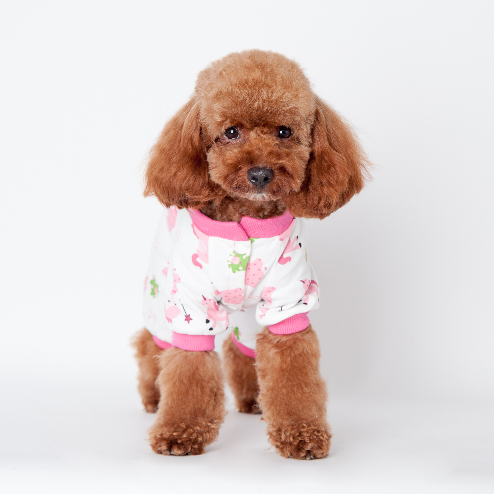 宠物衣服外贸新款 家居服 狗狗四脚衣纯棉印花泰迪衣服