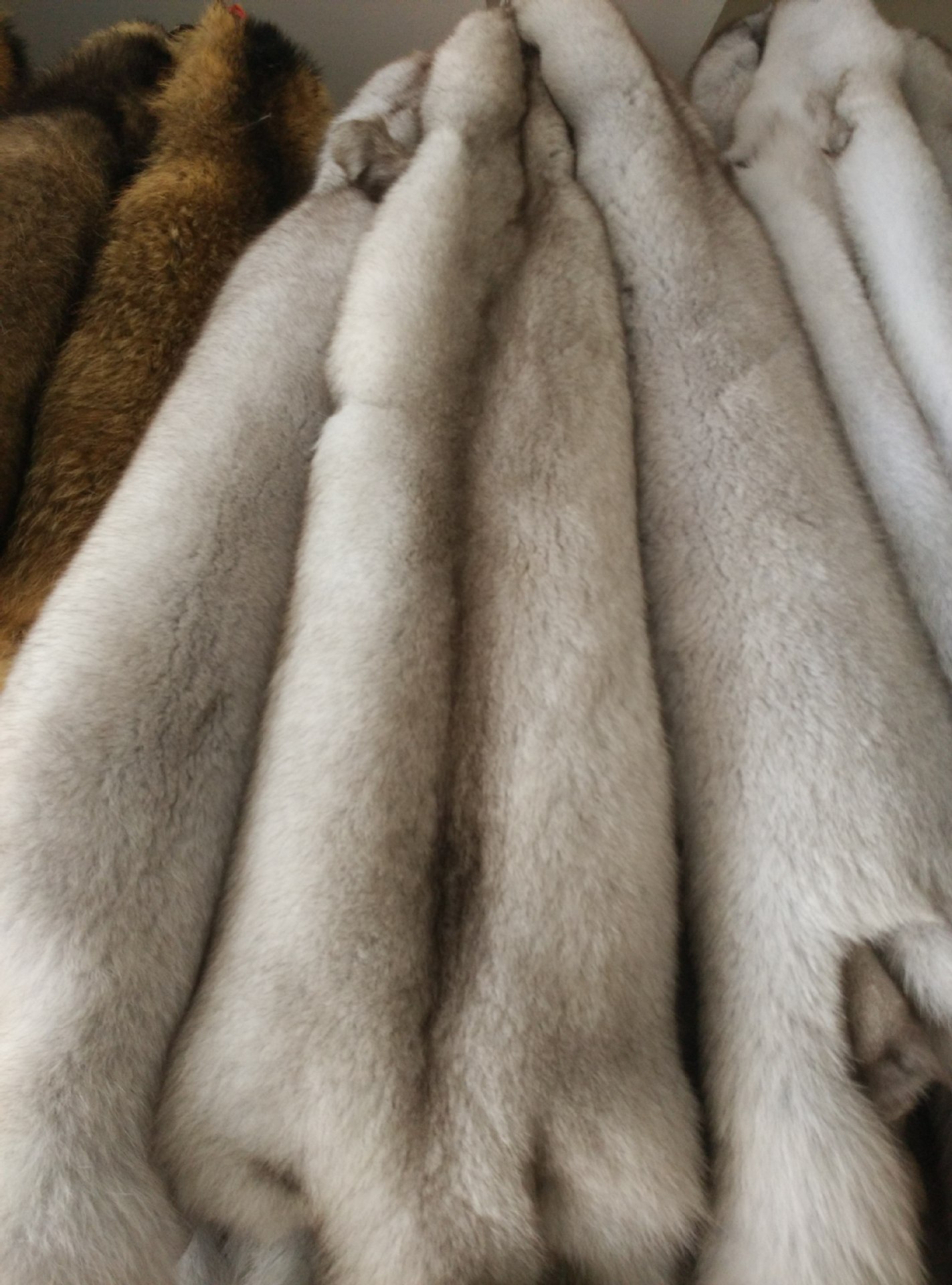 供应皮毛羊羔皮,口羔皮褥子,羊羔皮毯,领