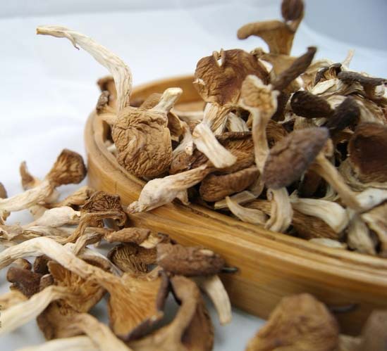 福建古田土特产真姬菇,150g袋装菌菇干货农产品食用菌批发