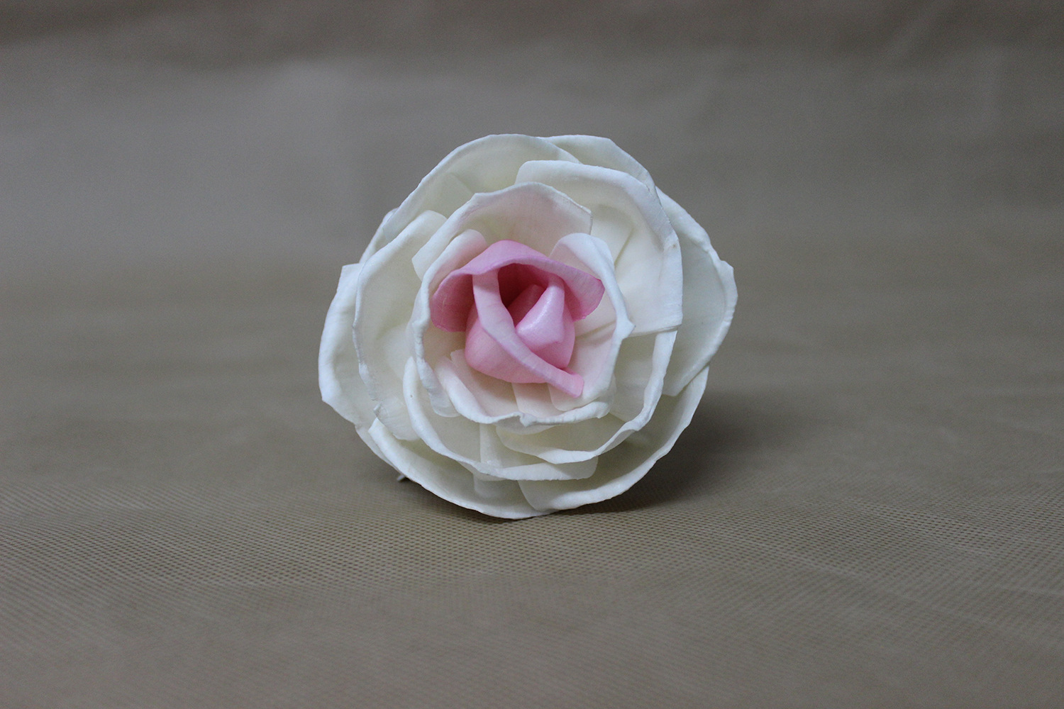 通草花手工卷边玫瑰花植物干花吸油空气香薰花头通草花批发定制