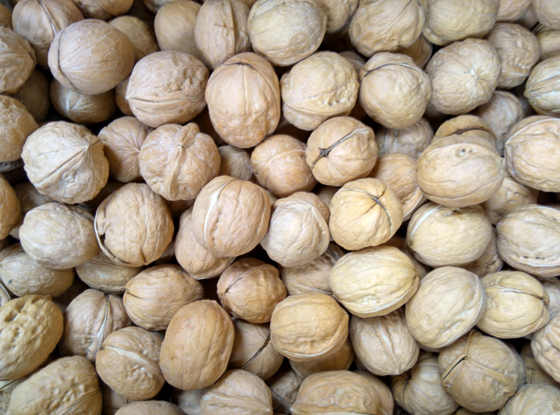 云南黑果纸皮生核桃 新疆纸皮生核桃 散称裸装 一包5斤