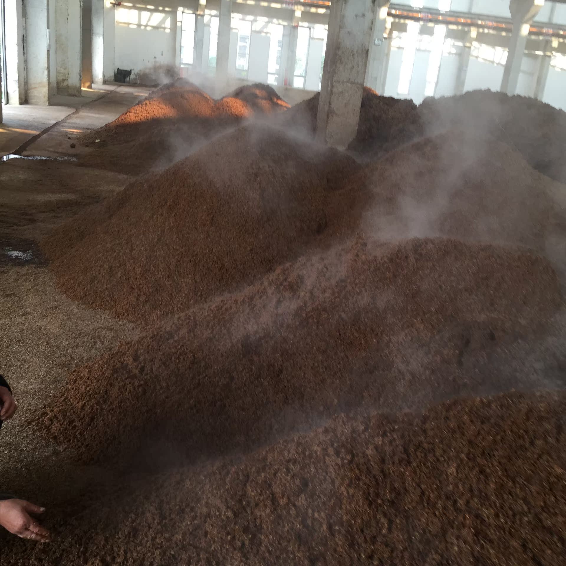 五粮浓香型 白酒糟 鲜酒糟