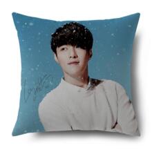 张艺兴周边抱枕_张艺兴周边抱枕价格_张艺兴