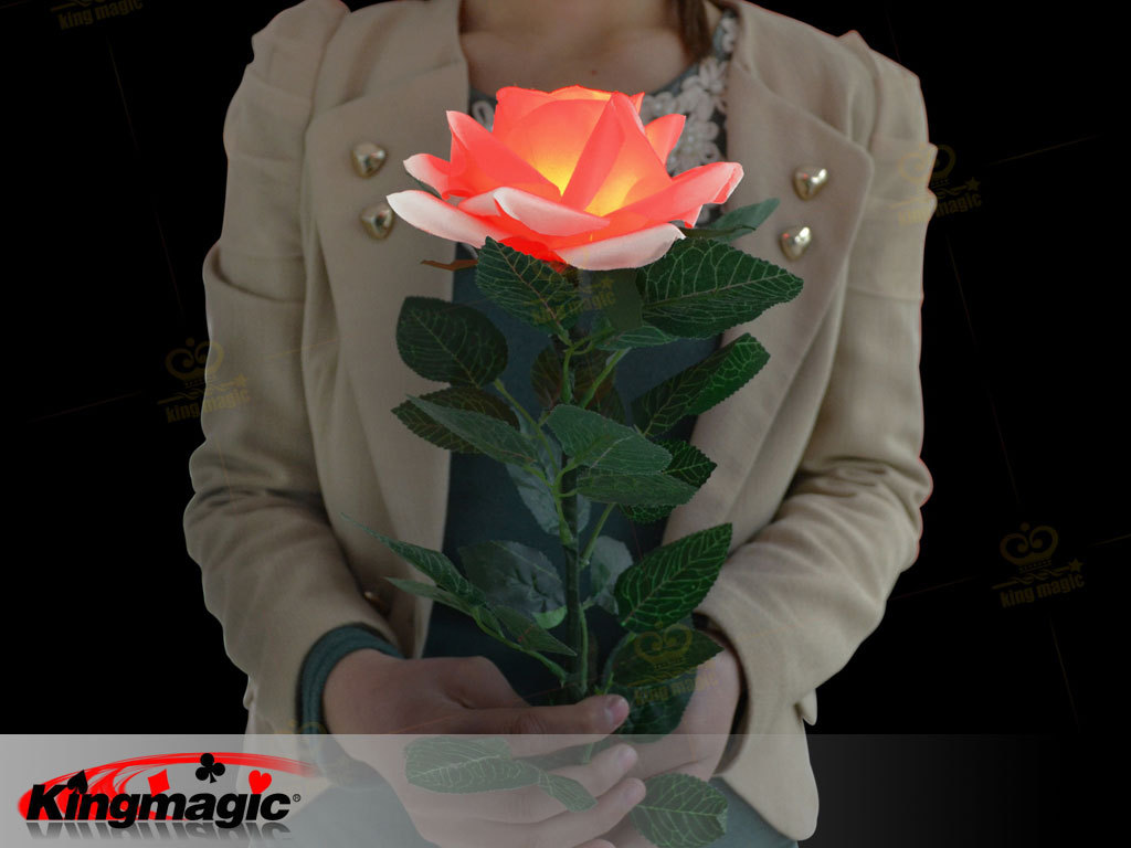 g1392 五色亮灯玫瑰 king magic 魔术道具 厂家批发 玫瑰花类魔术