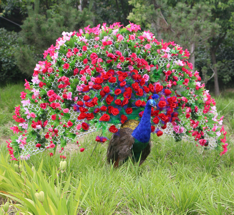 厂家直销 婚庆喜庆花尾孔雀 舞台表演花尾孔雀 摄影道具花尾孔雀